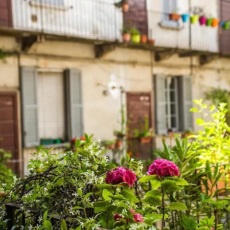 Picturesque Flat